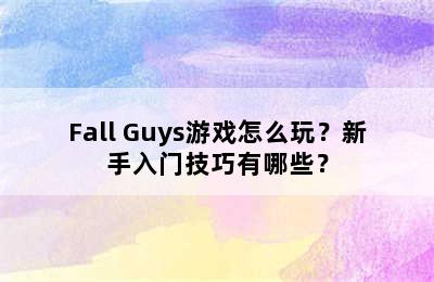 Fall Guys游戏怎么玩？新手入门技巧有哪些？